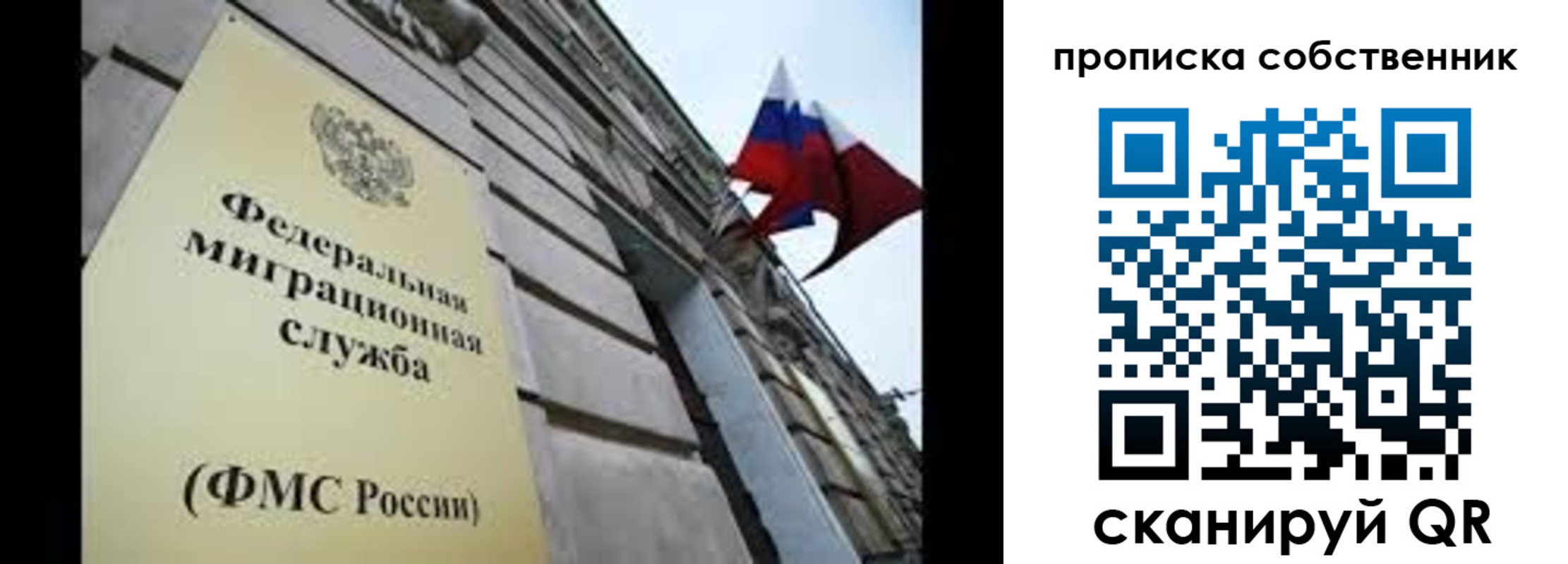прописка гарантия в Люберцах